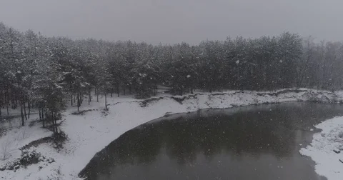 Beautiful 4k drone shot of pine forest with snow falling. Stock Footage 83883707