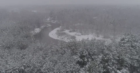 Beautiful 4k drone shot of pine forest with snow falling. Stock Footage 83884057