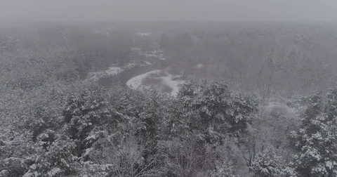 Beautiful 4k drone shot of pine forest with snow falling. Stock Footage 83884068