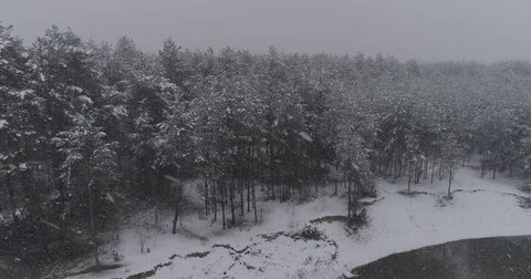 Beautiful 4k drone shot of pine forest with snow falling. Stock Footage 83884652