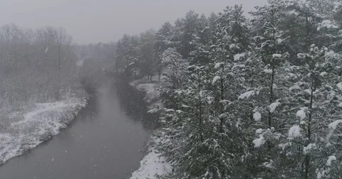 Beautiful 4k drone shot of pine forest with snow falling. Stock Footage 83884658