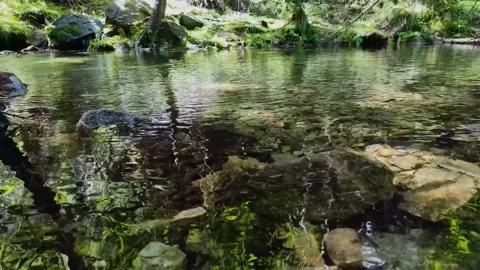 Beautiful 4k seamless loop footage of a clear forest pond with transparent wa Stock Footage 341861735