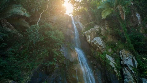 Beautiful 4K water fall Stock Footage 98808994