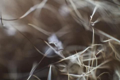 Beautiful abstract background for design. Composition with lines and blur. Foto stock