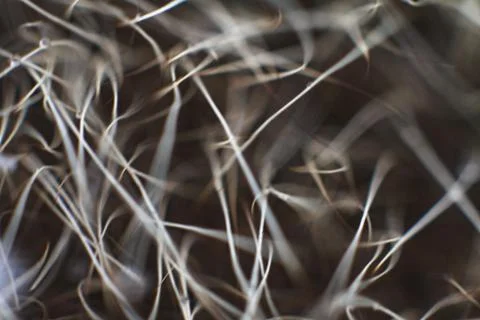 Beautiful abstract background for design. Composition with lines and blur. Stock Photos