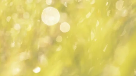 Beautiful Abstract Background. Stock Footage 44640958