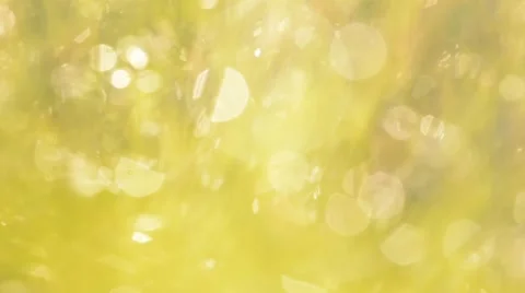 Beautiful Abstract Background. Stock Footage 44641505