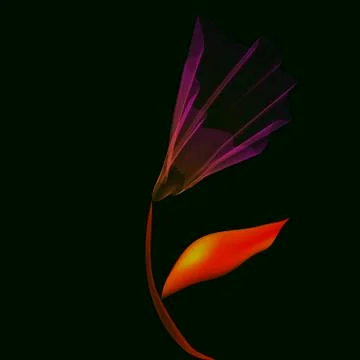 Beautiful abstract flower Stock Illustration