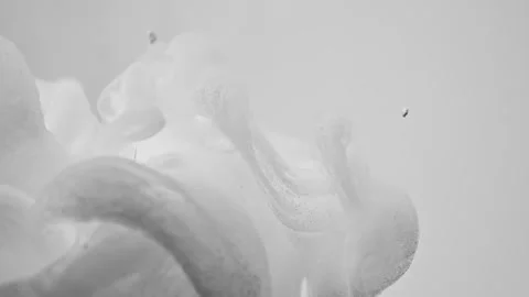 Beautiful abstract movement of particles on a light background Vídeo Stock 266032904