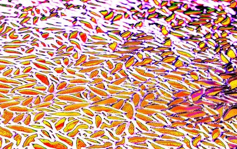 Beautiful, abstract multicolor pattern, colorful background, 2 Stock Photos
