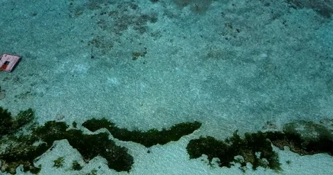 Beautiful abstract pattern of algae under water of sea shore close to Stock Footage 119578830