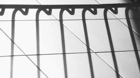 Beautiful abstract shadow of a tree on a tiled floor. The wind shakes the Stock Footage 179435536