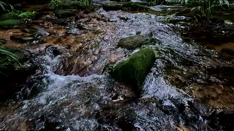 Beautiful abstract view of water running down a tropical stream or cascade Video stock 336933353