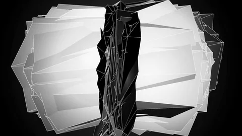 Beautiful Abstract White And Black Polygonal Surface Moving In 3d Animation.  Stock Footage 82548658