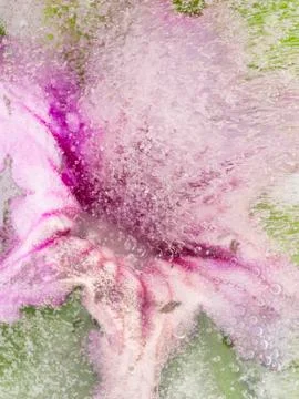 Beautiful abstraction with pink delicate flower Stock Photos