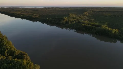 Beautiful aerial high shot of big Delta River and its green rainforest at sun Stock Footage 151982910