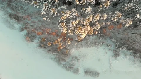 Beautiful aerial top-down view of snow covered pine forests aroung Gela lake 스톡 동영상 166181246
