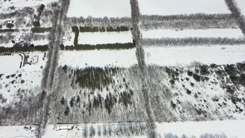 Beautiful aerial top down view of a rural landscape with rectangular fields Stock Footage 328338783