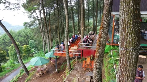 Beautiful aerial view, cafe in pine forest, nature background. Stock Footage 205786111