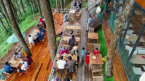 Beautiful aerial view, cafe in pine forest, nature background. Stock Footage 205786207