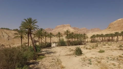 Beautiful Aerial view of EIN GEDI, ISRAEL in 4k Video stock 54629672