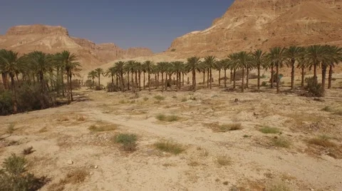 Beautiful Aerial view of EIN GEDI, ISRAEL in 4k Video stock 54632196