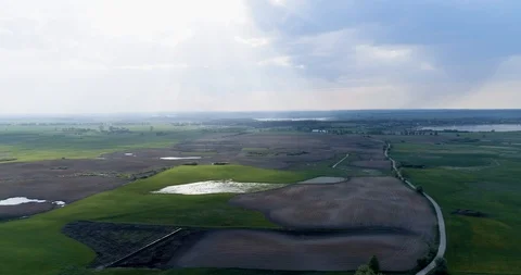 Beautiful aerial view of green fields with road and trees Stock Footage 99554567