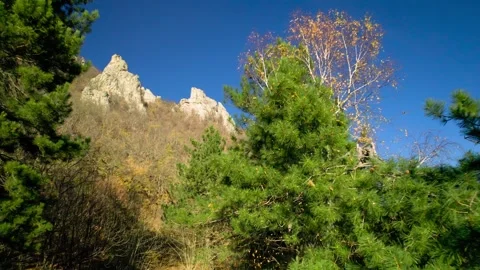 Beautiful aerial view of high cliffs. Stock Footage 263334940