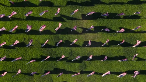 A Beautiful Aerial View of Numerous American Flags Displayed on a Vibrant Green Stock Footage 318862853