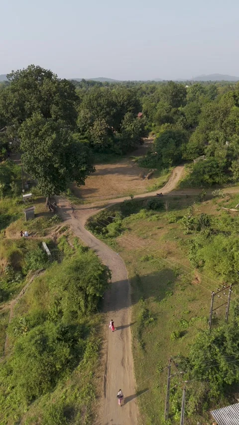 Beautiful aerial view of pathway vertical 4k footage. Stock Footage 254273210