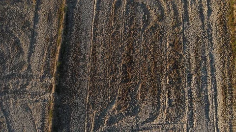 Beautiful Aerial View Of pattern Rice paddy Field during sunrise. Video stock 104222911