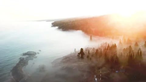 Beautiful Aerial View of Pine Forest Shrouded in Light Fog Stock Footage 144859366