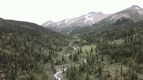 Beautiful aerial view of a pristine mountain valley stream Stock Footage 137867467