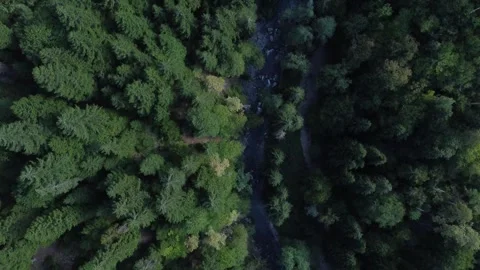 Beautiful aerial view of a river in a dense forest in the mountains of Georgia 動画素材 284549659