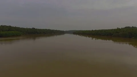 Beautiful aerial view of river with forest in Anjarakandy, Kerala. 動画素材 80206161