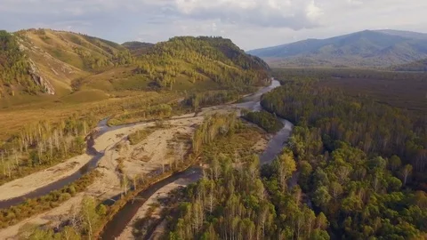 Beautiful aerial view of small river and forest Stock Footage 78593262