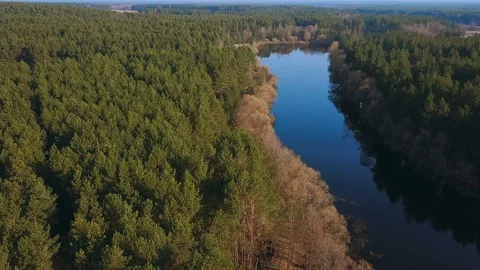 Beautiful aerial view of sring forest and river. Eye bird view on summer nature Stock Footage 90134098