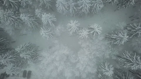 Beautiful Aerial View Winter Forest Vogelsberg Germany Stock Footage 102472751