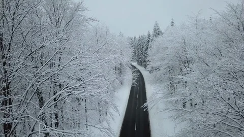 Beautiful Aerial View Winter Forest Vogelsberg Germany Stock Footage 102473094