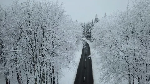 Beautiful Aerial View Winter Forest Vogelsberg Germany Stock Footage 102473271