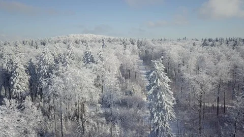 Beautiful Aerial View Winter Forest Vogelsberg Germany Stock Footage 102707998