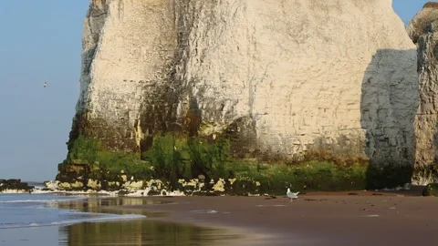 Beautiful afternoon at between the iconic cliffs of Botany Bay, in Broadstairs Stock Footage 266020363