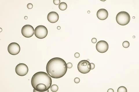 Beautiful air bubbles flows over a light background Stock Photos