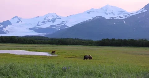 Beautiful Alaskan landscape Stock Footage 160289991