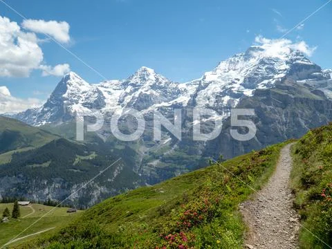 Beautiful alm and alp mountains at Berner Oberland Switzerland stock photography Stock Photos