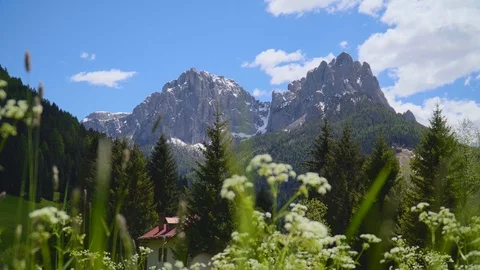 Beautiful Alpine Meadow Stock Footage 111347051
