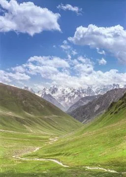 Beautiful Alpine meadows Stock Photos