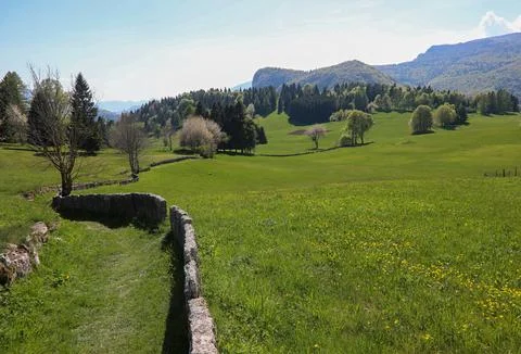 Beautiful alpine path with dry stone wall winding through green summer mead.. Fotos Stock