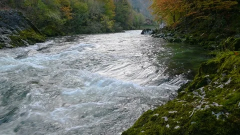 Beautiful Alpine pristine flowing in narrow Alpine valley in Slovenia Stock Footage 143321310