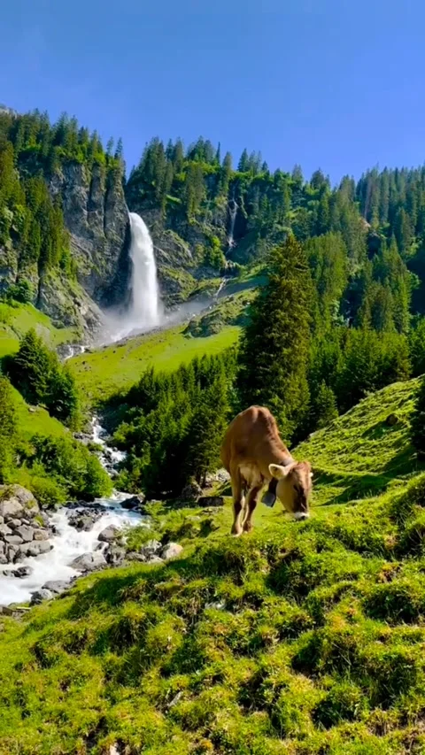 Beautiful Alps Stock Footage 325404779